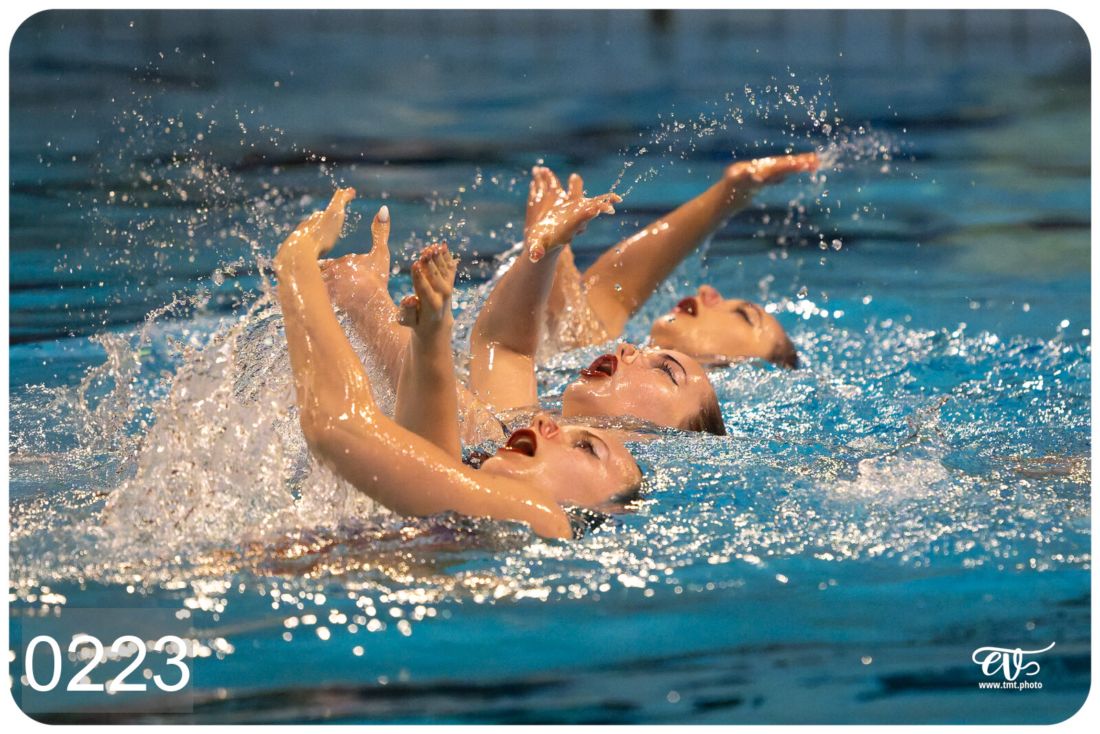 CHAMPIONNAT DE FRANCE DE NATATiON ARTISTIQUE N1 & ELITE 2026